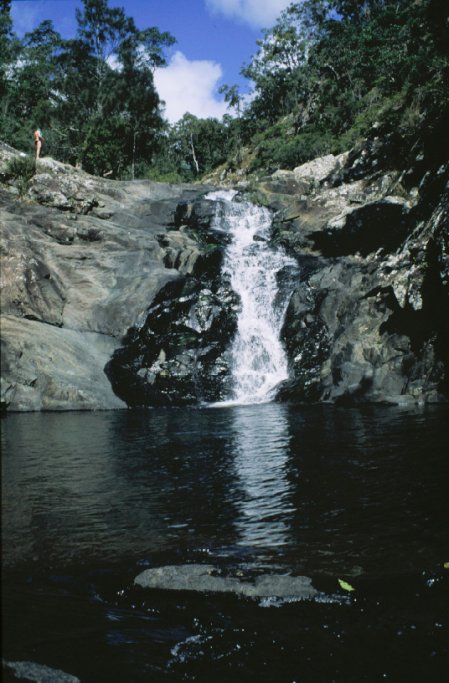 A waterfall on our way to Mt Tambourine