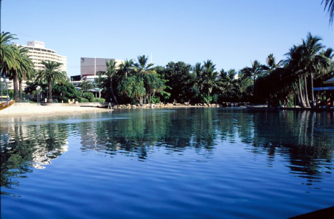 Artificial lagoon near the hotel and the convention center, lots of exotic trees and warm water. Brisbane - Australia